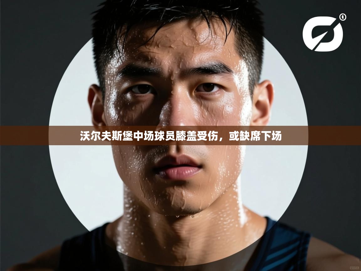 沃尔夫斯堡中场球员膝盖受伤,或缺席下场 第2张