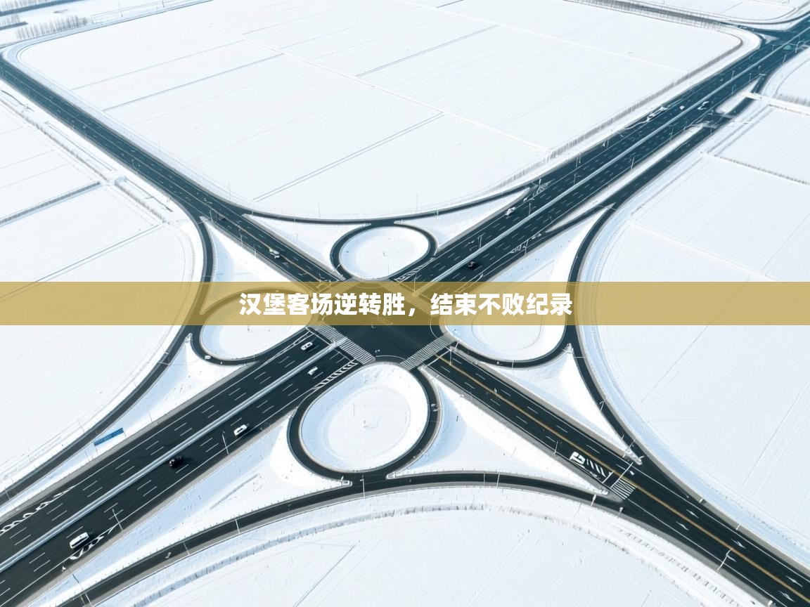 汉堡客场逆转胜，结束不败纪录