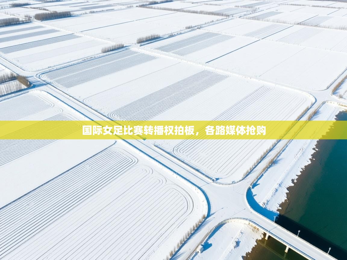 国际女足比赛转播权拍板,各路媒体抢购 第1张